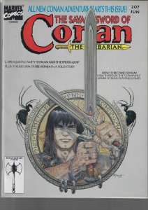 Savage Sword of Conan #207 (Marvel, 1993)