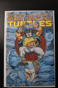 Teenage Mutant Ninja Turtles #48 (1992)