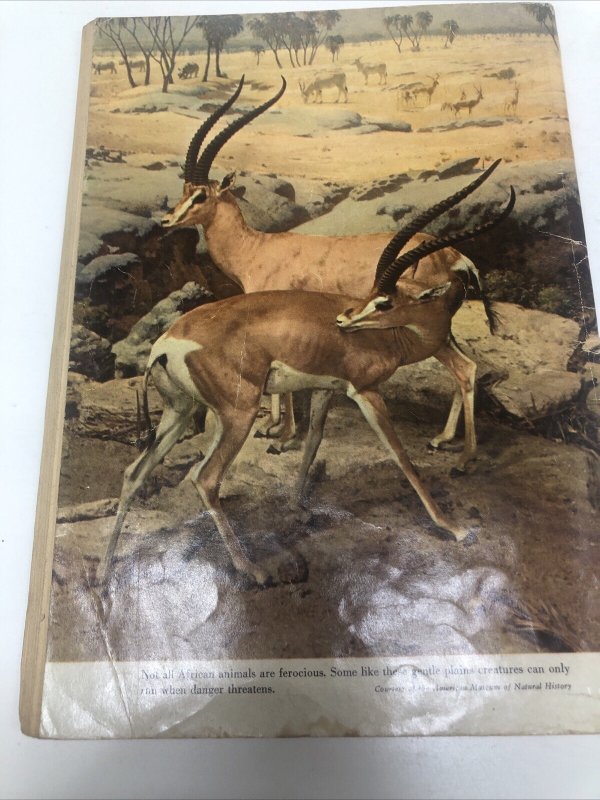 Tarzan’s Jungle Annual (1955) Variant # 4 Golden Age • Edgar Rice Burroughs