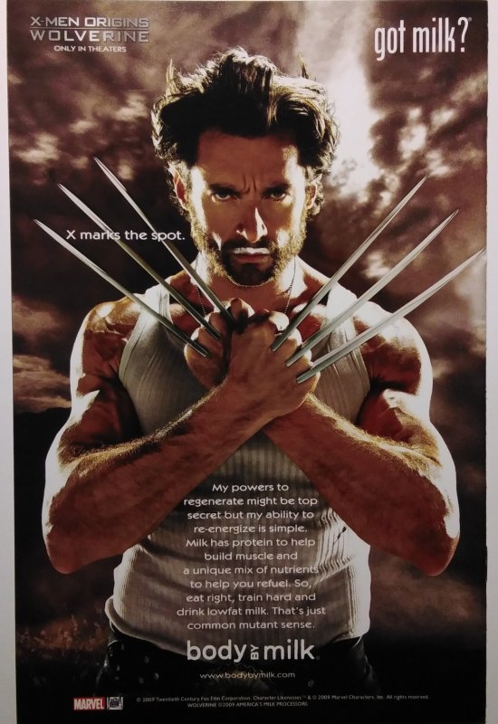 The Flash: Rebirth #2 Ethan Van Sciver Flash Cover (2009)