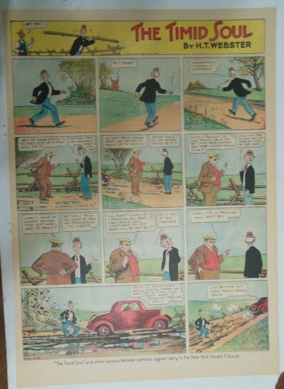 Timid Soul Sunday Page by HT Webster from 5/8/1938 Large Full Size Page !