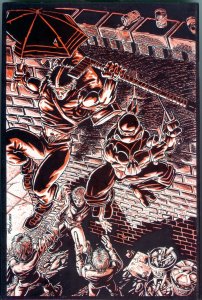 Teenage Mutant Ninja Turtles - Raphael (1985)