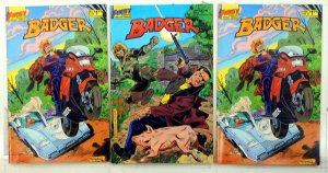 Badger Lot of 3 #18 x2, 19 (1986) First Comics 1st Print Comic Books