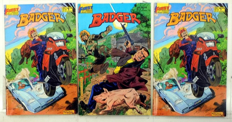 Badger Lot of 3 #18 x2, 19 (1986) First Comics 1st Print Comic Books