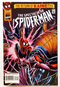 The Spectacular Spider-Man #231 (Feb 1996, Marvel) VF/NM