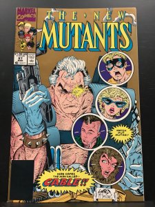 The New Mutants #87 (1990)