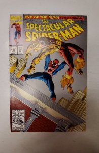 The Spectacular Spider-Man #193 (1992) NM Marvel Comic Book J729