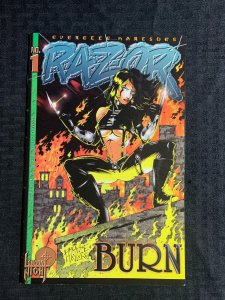 1995 RAZOR #1 Burn by Everette Hartsoe FVF 7.0 London Night Studios