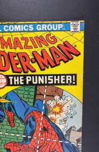 The Amazing Spider-Man #129 (1974) 1ST PUNISHER