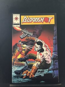 Bloodshot #2 (1993)