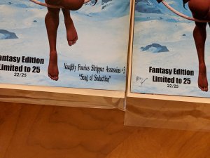 Naughty Faeries Comics: NFSA #3 VIP Naughty Connecting Serialized Set!