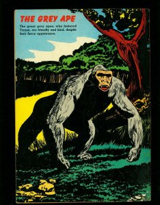 Tarzan's Jungle World -Dell Giant #25 1959-EDGAR RICE BURROUGHS-VG