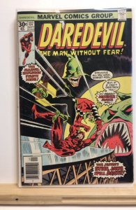 Daredevil #137 Regular Edition (1976)