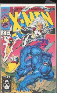 X-Men #1 Storm and Beast Cover (1991) X-Men [Key Issue]