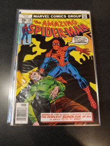 The Amazing Spider-Man #176 (1978)