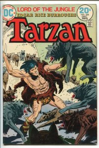 TARZAN #226 1973-DC-EDGAR RICE BURROUGHS-JOE KUBERT JUNGLE ART-vf