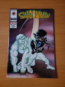 Shadowman #25 ~ NEAR MINT NM ~ 1994 Valiant Comics