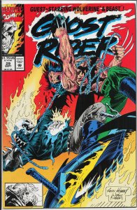 Ghost Rider #29 (1992) Ghost Rider