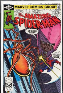 The Amazing Spider-Man #213 Direct Edition (1981) Spider-Man