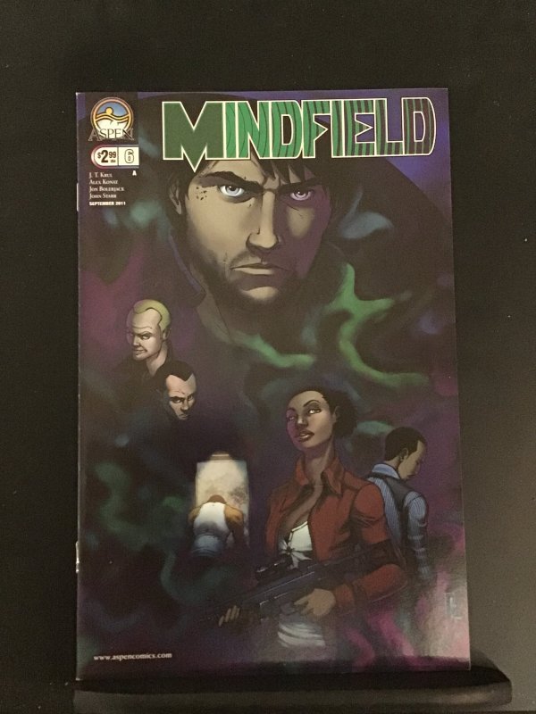 Mindfield #6 (2011)