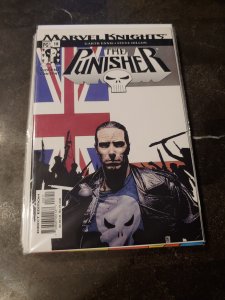 The Punisher #18 (2002)