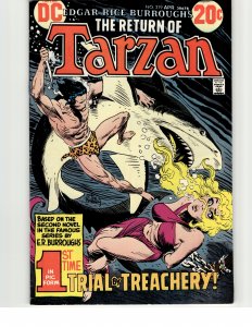 Edgar Rice Burroughs' Tarzan #219 (1973)