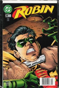 Robin #29 (1996) Robin