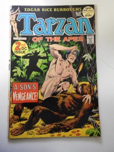 Edgar Rice Burroughs' Tarzan #208 (1972)