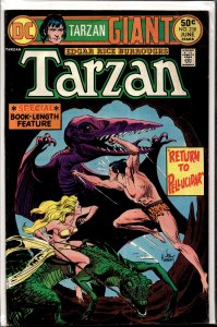Edgar Rice Burroughs' Tarzan #238 (1975)