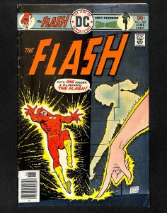 Flash #242