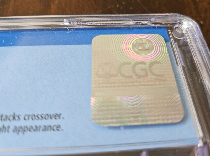 The Punisher Annual 2 CGC 9.2 (1989) case does have small chip.