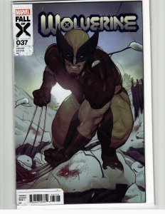 Wolverine #37 Swaby Cover (2023)