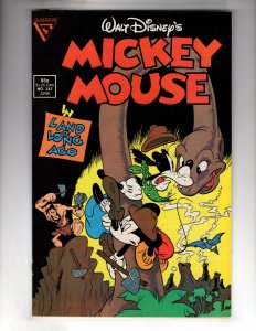 Mickey Mouse #247 (1989)   / ECA5