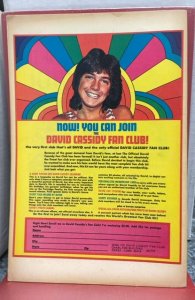 David Cassidy #13 (1973)
