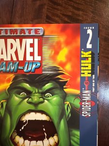 Ultimate Marvel Team-Up #2 (2001)