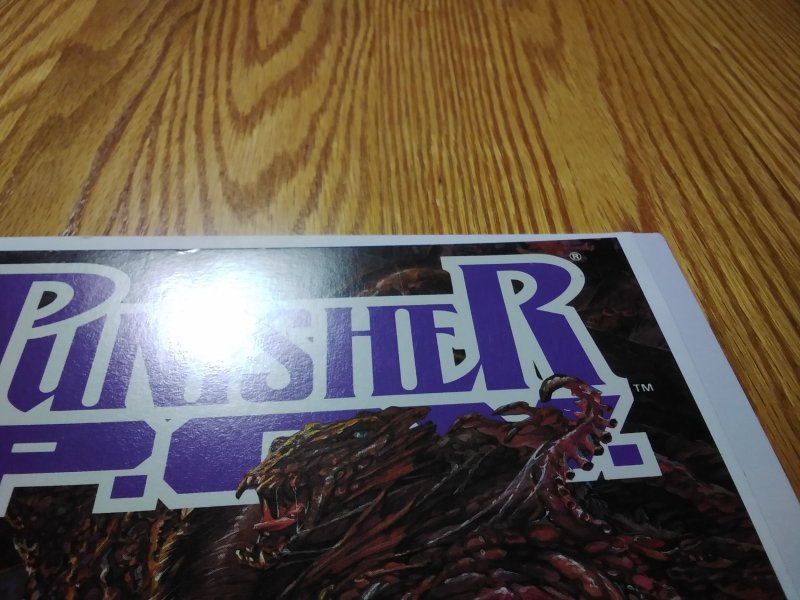 The Punisher: P.O.V. #4 (1991)