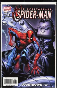 Spectacular Spider-Man #7 (2004) Spider-Man