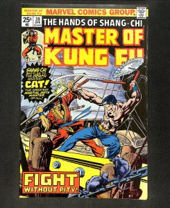Master of Kung Fu #39