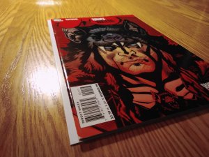 Batman: The Return of Bruce Wayne #1