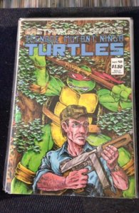 Teenage Mutant Ninja Turtles #12 (1987)