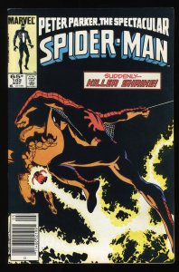 Peter Parker: Spider-Man #102 Newsstand Variant