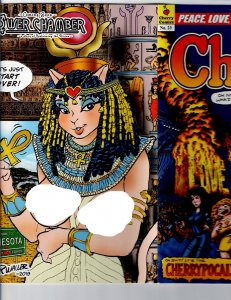 Cherry Poptart #23 (2019) (signed)