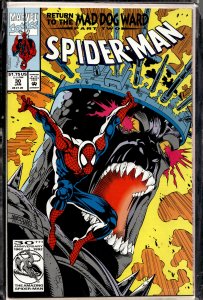 Spider-Man #30 (1993) Spider-Man