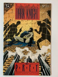 Legends of the Dark Knight #14  NM+ (1991)