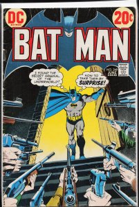 Batman #249 (1973) Batman