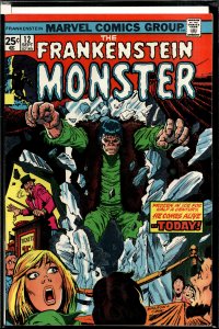 The Frankenstein Monster #12 (1974) Frankenstein Monster