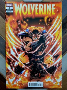 Wolverine #5 NM/New (Marvel 2025) Call of the Adamantine GODTAIL Cover