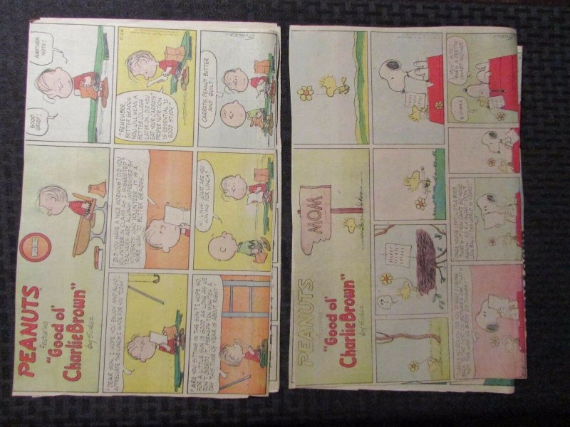 1977 PEANUTS Featuring Charlie Brown Sunday 1/2 pg. Comic Strip LOT of 8 VG (CC)