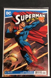Superman: Up In the Sky #1 (2019)