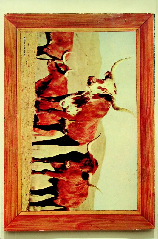 Western Roundup #5 (Jan-Mar 1954, Dell Giant Comic) - Good-